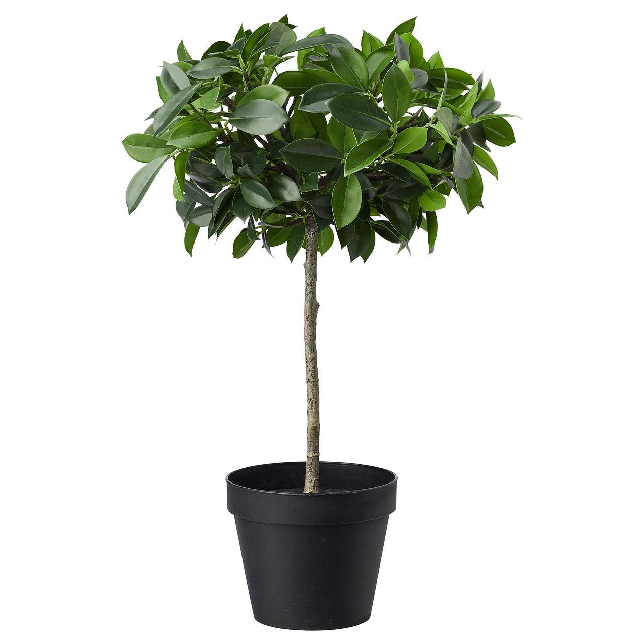 

IKEA FEJKA (003.953.08)
