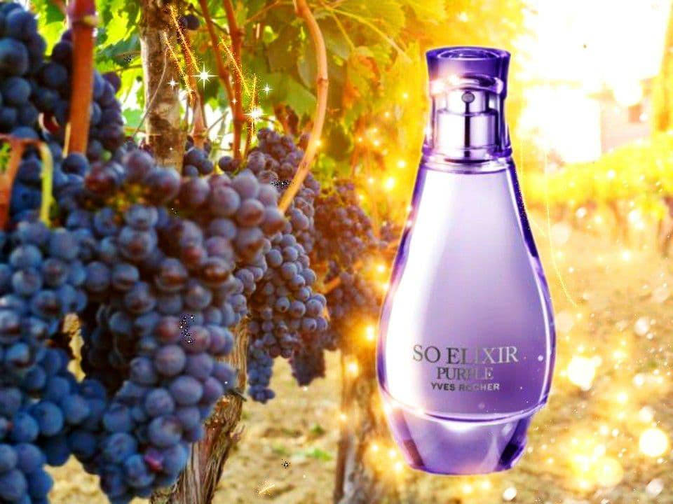 

Парфюмированная Вода So Elixir Purple - Со Эликсир Перпл, 50 мл Ив Роше
