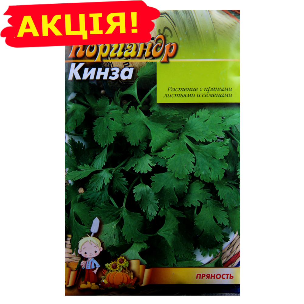 

Семена Кинза Кориандр большой пакет 15 г