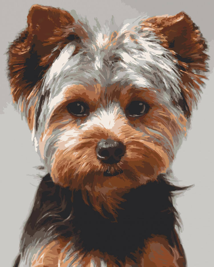 

Картина по номерам Art Craft "Йоркширский терьер" 40х50 см, 11644