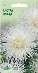 

Семена Астры Изольда