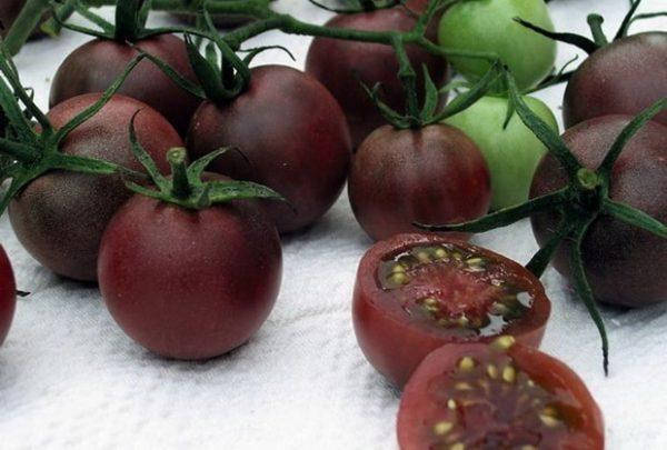 

Семена томат Каштановый шоколад Chestnut Chocolate