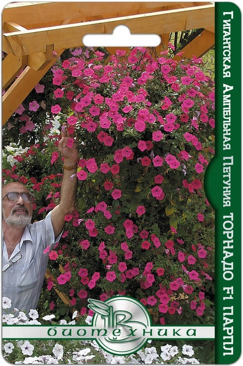 

Семена Петуния Гигантская Ампельная Торнадо F1 Парпл 8 семян Биотехника, Пурпурный