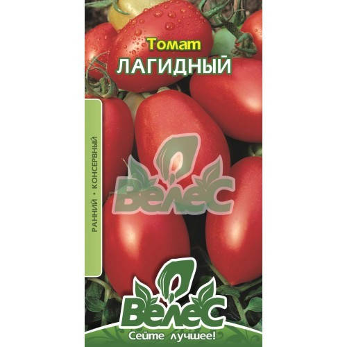 

Семена томата Лагидный 0,3г ТМ ВЕЛЕС