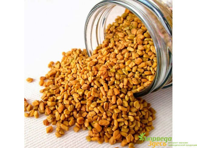 

Пажитник зёрна 50г., хильба, фенугрек, шамбала, Аюрведа Здесь