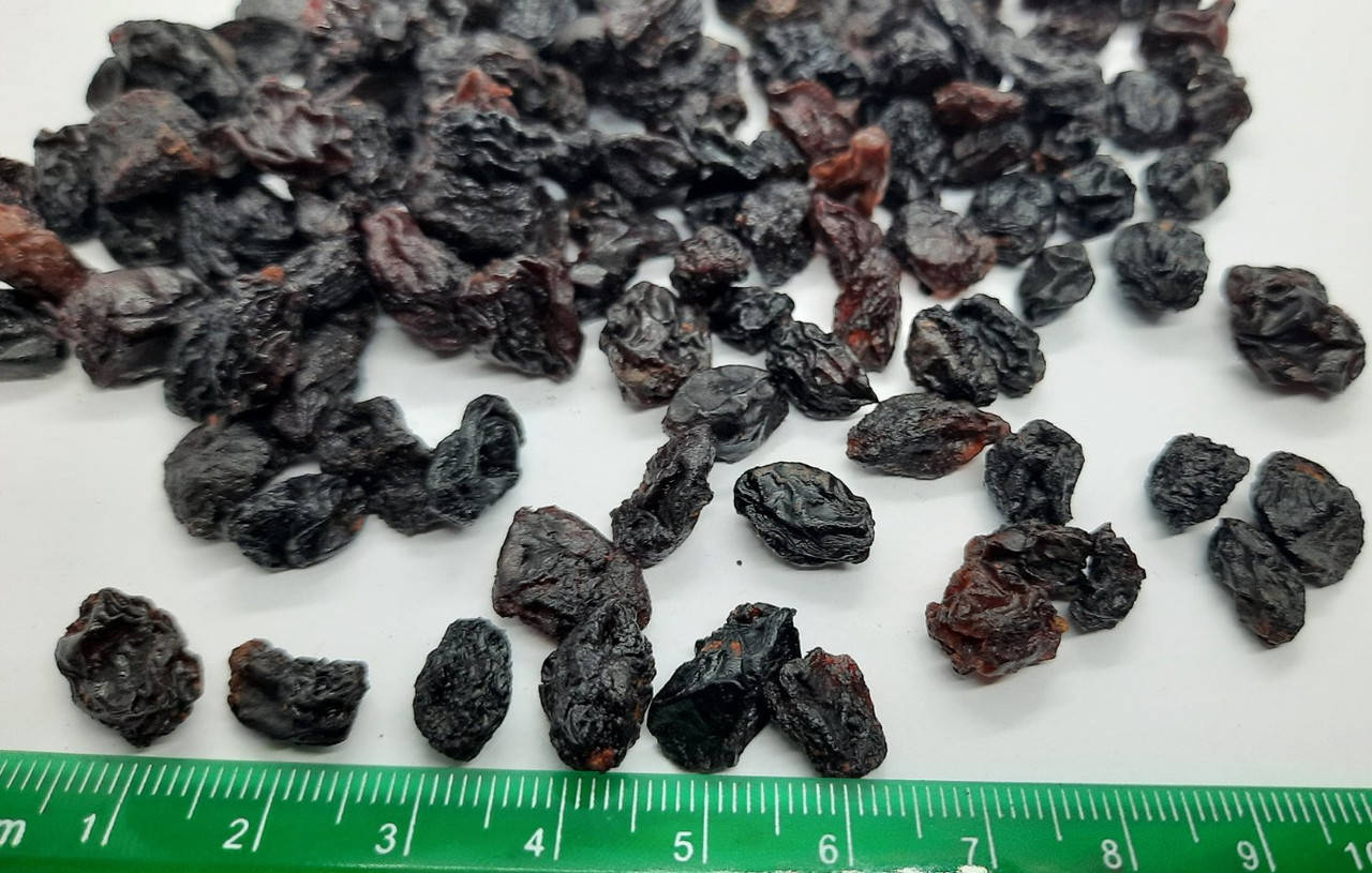 

Изюм черный 28 Узбекистан (УРОЖАЙ 2019-2020г)