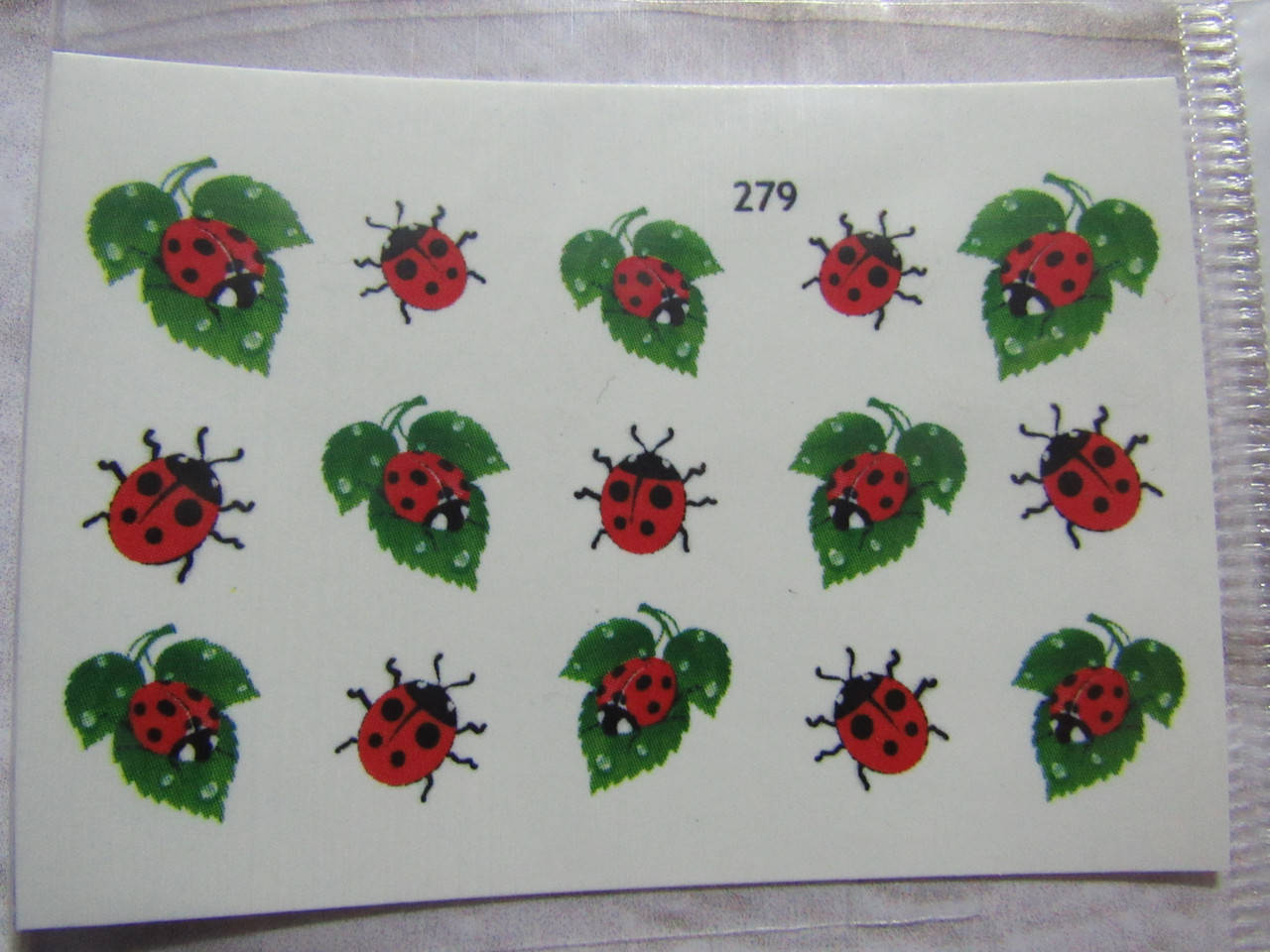 

Слайдер Божа корівка, Разные цвета