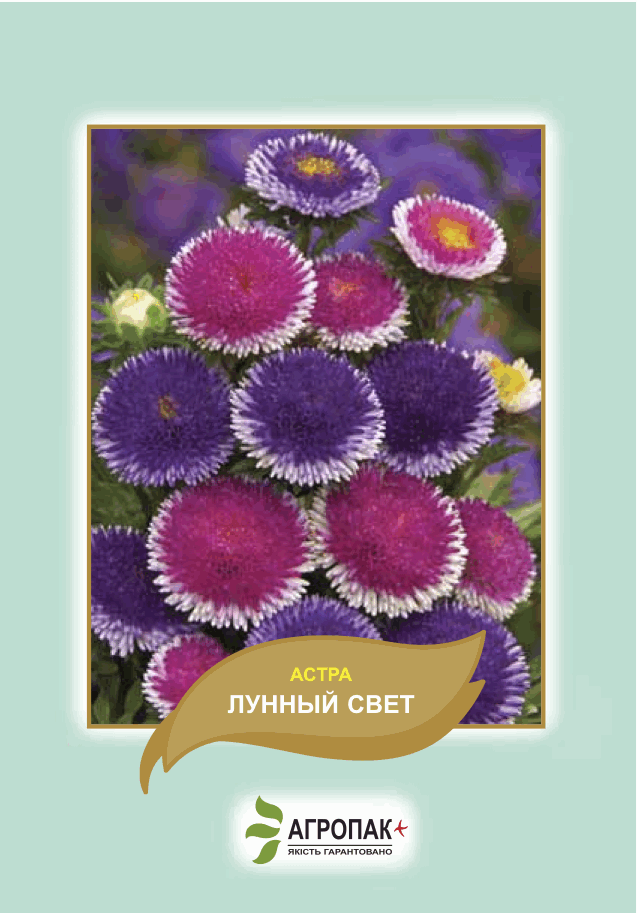 

Семена Астра помпонная Лунный свет 0,2 грамма Агропак, Разные цвета