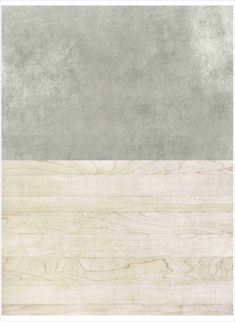 

Фотофон, двойной, для предметной съемки