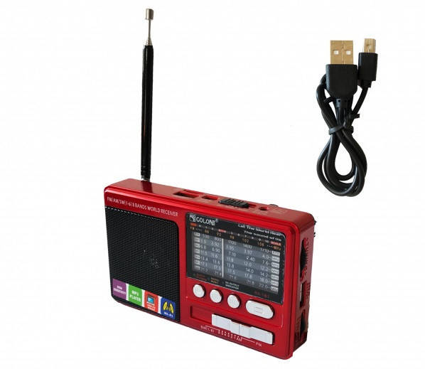 

Портативный радиоприемник для музыки NNS NS-1365