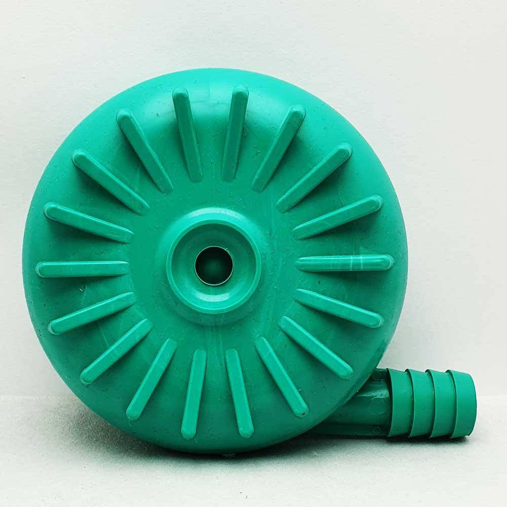 

Улитка гигант