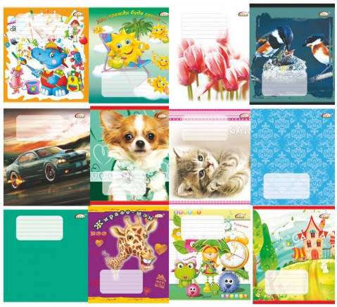 

Тетрадь 12 л линия Бриск Gold ТВ-47 Микс