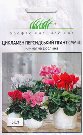 

Семена Цикламен Персидский гигант смесь 5 семян Hem Zaden, Разные цвета