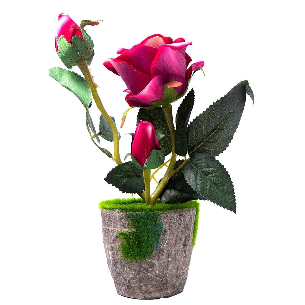 

Декоративный цветок Роза в горшке