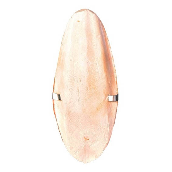 

Trixie Cuttle Fish Bone with Holder панцирь каракатицы (мел сепия) с держателем для птиц, 16см