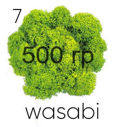 

МОХ СТАБИЛИЗИРОВАННЫЙ (ЯГЕЛЬ), Васаби ярко-зелёный 07, 500 ГРАММ