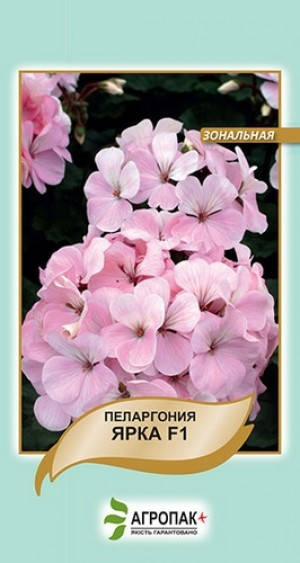 

Семена Пеларгония зональная Ярка F1, 5 семян Cerny Агропак