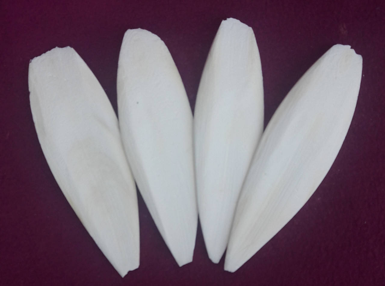 

Сепия (12-13см)