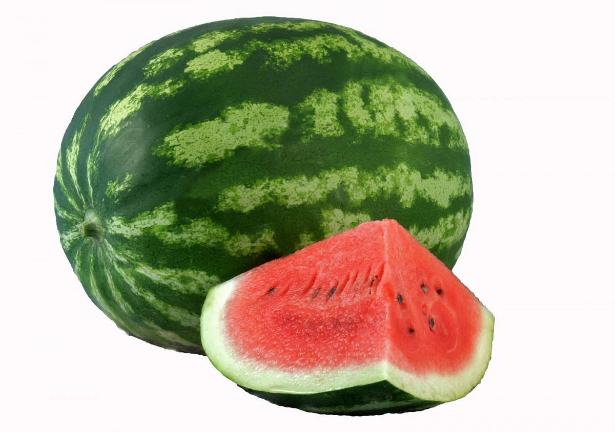 

Семена арбуза Ау Продюсер, 500 г (Hollar Seeds)