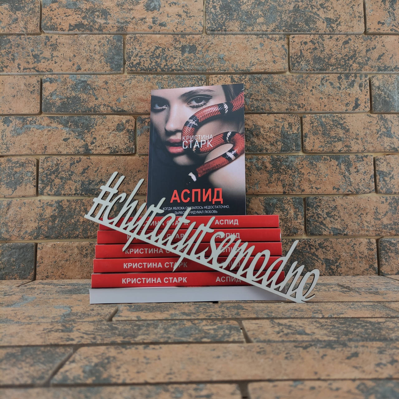 

Аспид Кристина Старк