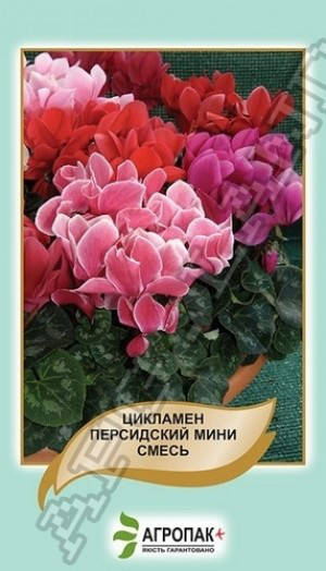 

Семена Цикламен Персидский мини смесь 10 семян Legutko Агропак, Разные цвета