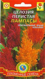 

Целозия перистая Пампасы 0,2 г (Плазменные семена)