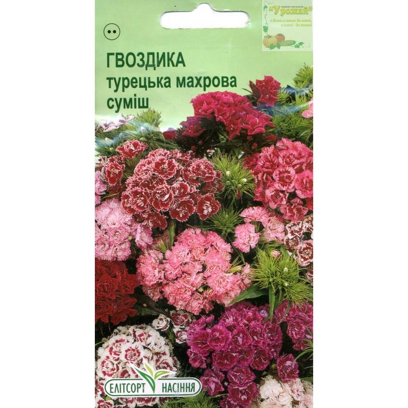 

Семена цветы Гвоздика турецкая махровая смесь, 0,2 г