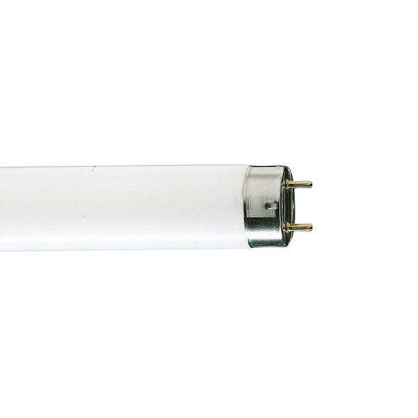 

Лампа для знищення комах 10 W T8