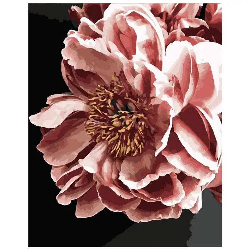 

Картина по Номерам Нічна квітка 40х50см Strateg