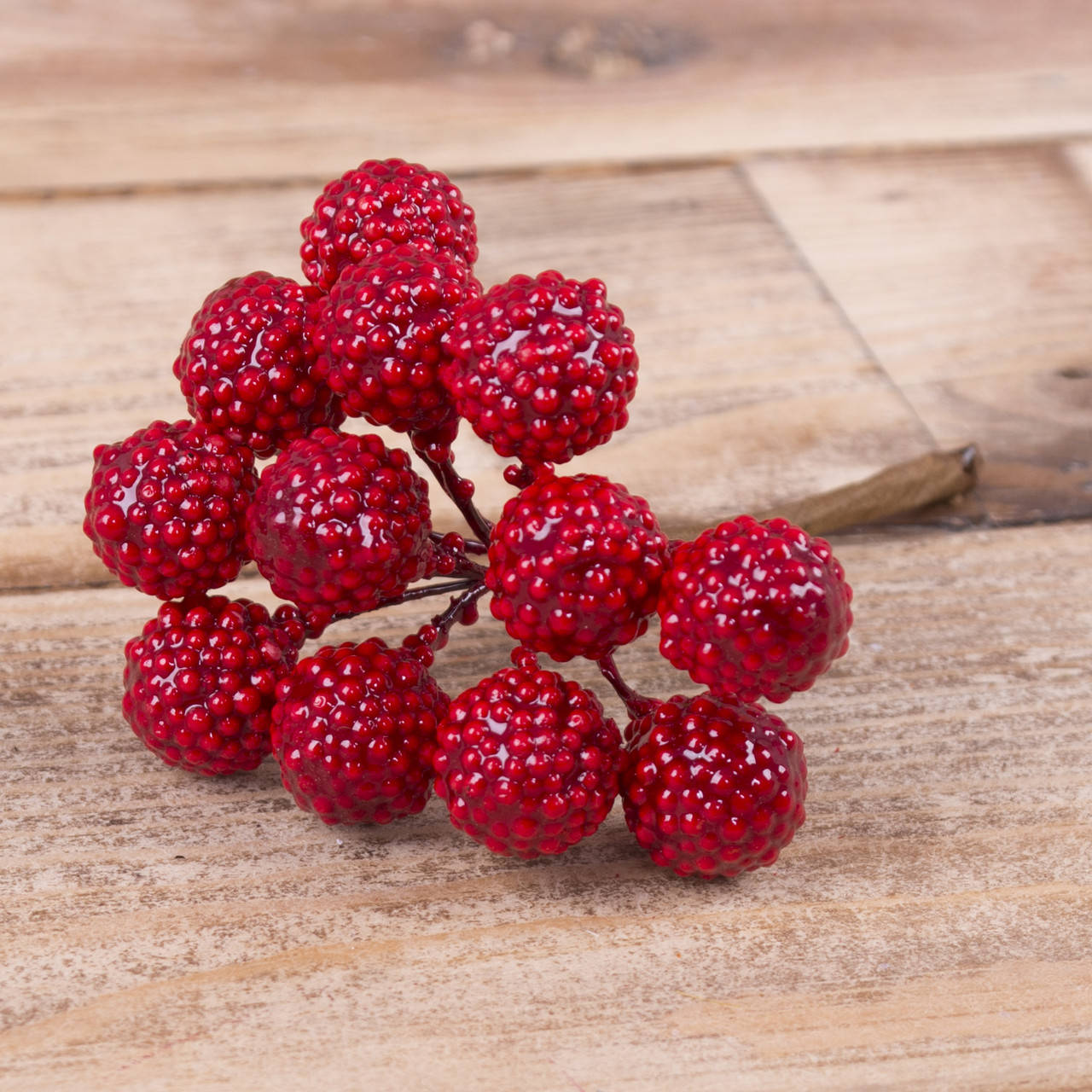 

Пучок шелковица красная