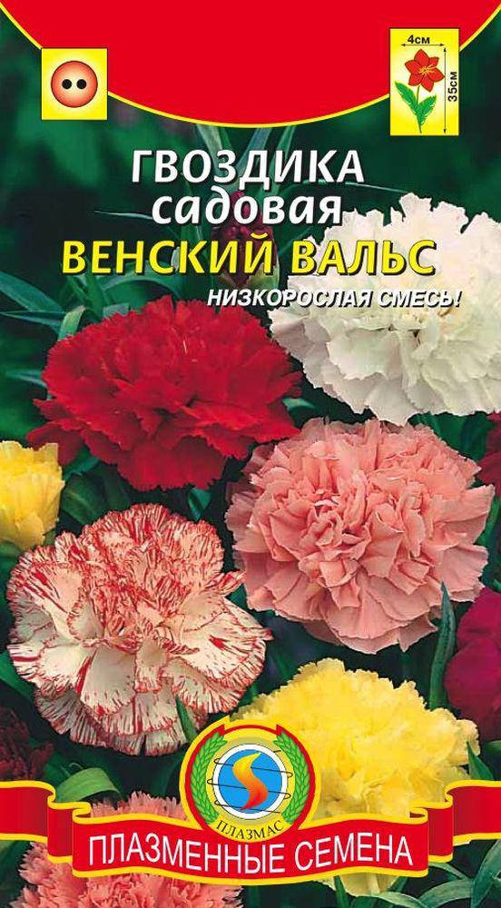 

Гвоздика садовая Венский вальс 0,1 г (Плазменные семена)