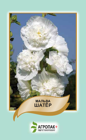 

Семена цветов Мальва Шатер белая Агропак плюс, Белый