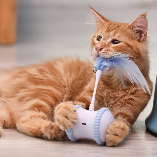 

Игрушка для кошек USB smart с LED подсветкой, таймером и пером, Голубой