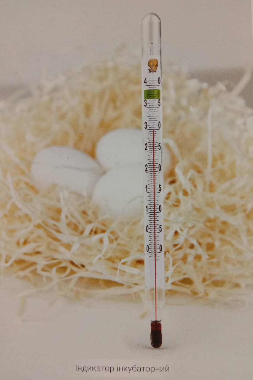 

Термометр в инкубатор от 0...+40 *С. 17,5 см. (в упаковке) Арт.: 1602181