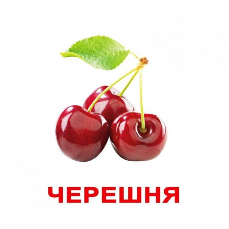 

ЯГОДЫ. Карточки Домана. Вундеркинд с пелёнок. Ламинированные