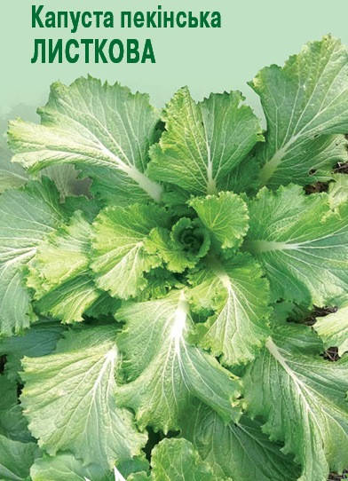

Капуста Пекінська листкова