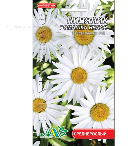 

Нивяник Ромашка белая, многолетнее растение, семена цветы 0.15 г, Белый