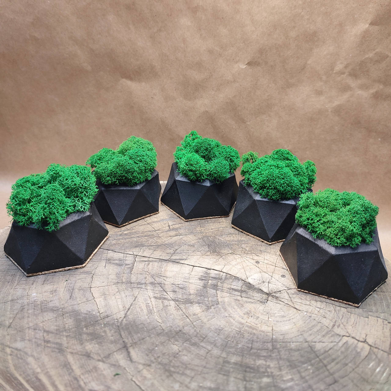

Набор из 5-х кашпо со стабилизированным мхом, Черный