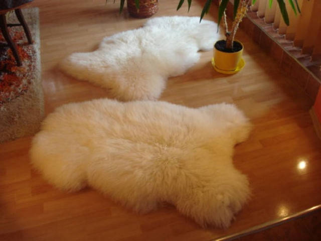 

Овечья шкура новозеландская (средний ворс) 03 I Шкура овцы натуральная I Шкура баранья белая I Овчина