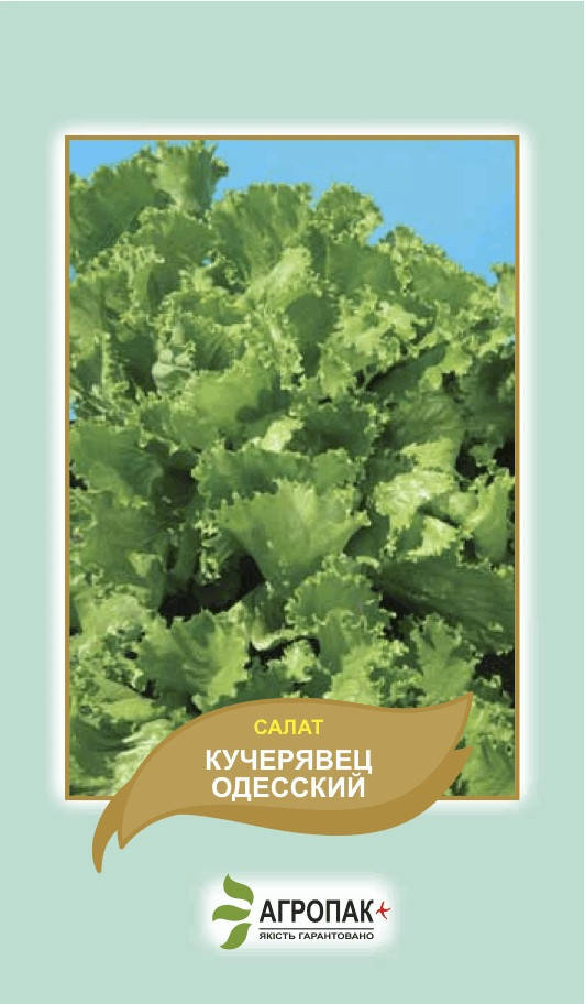 

Семена Салат Кучерявец одесский 0,5 гр W.Legutko (2559)