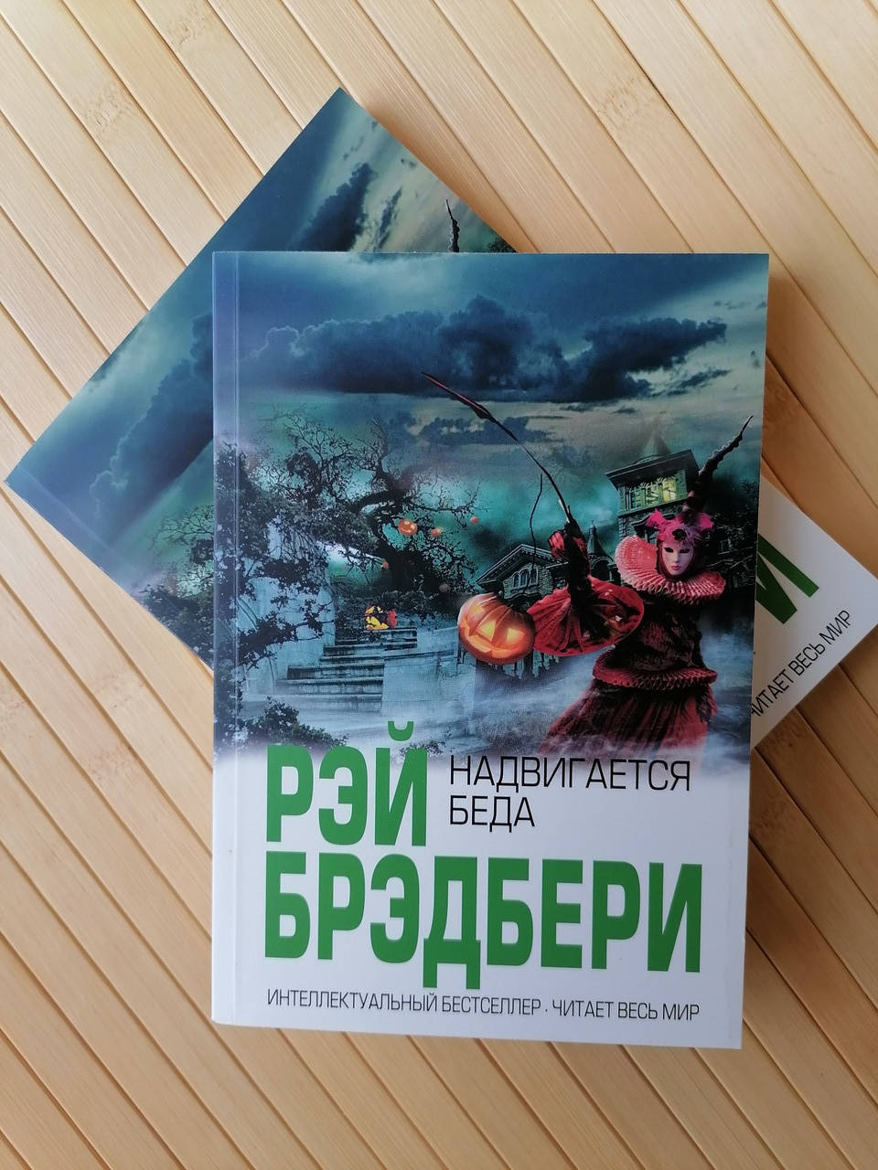 

Рей Брэдбери Надвигается беда