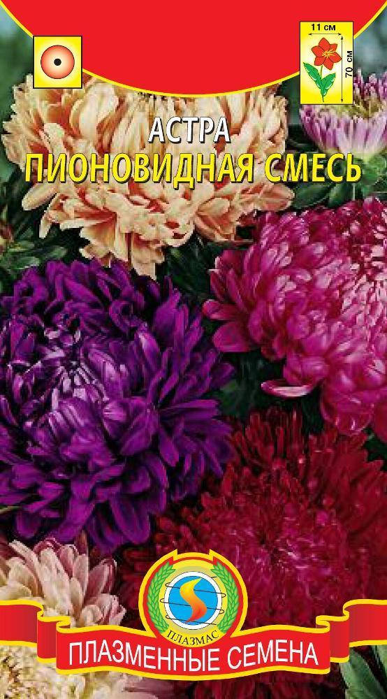

Астра Пионовидная смесь 0,3 г (Плазменные семена)