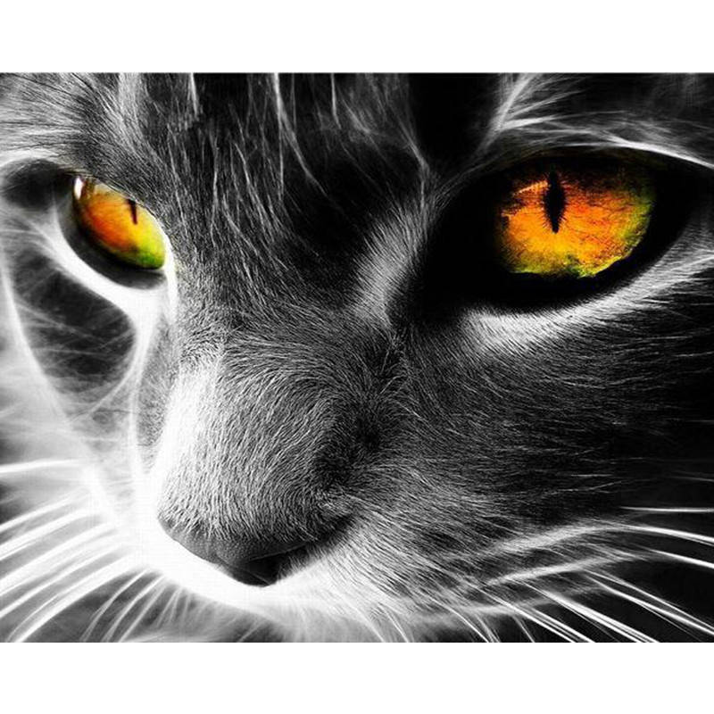 

"Кот" Картина по номерам 40 х 50см Картины по номерам