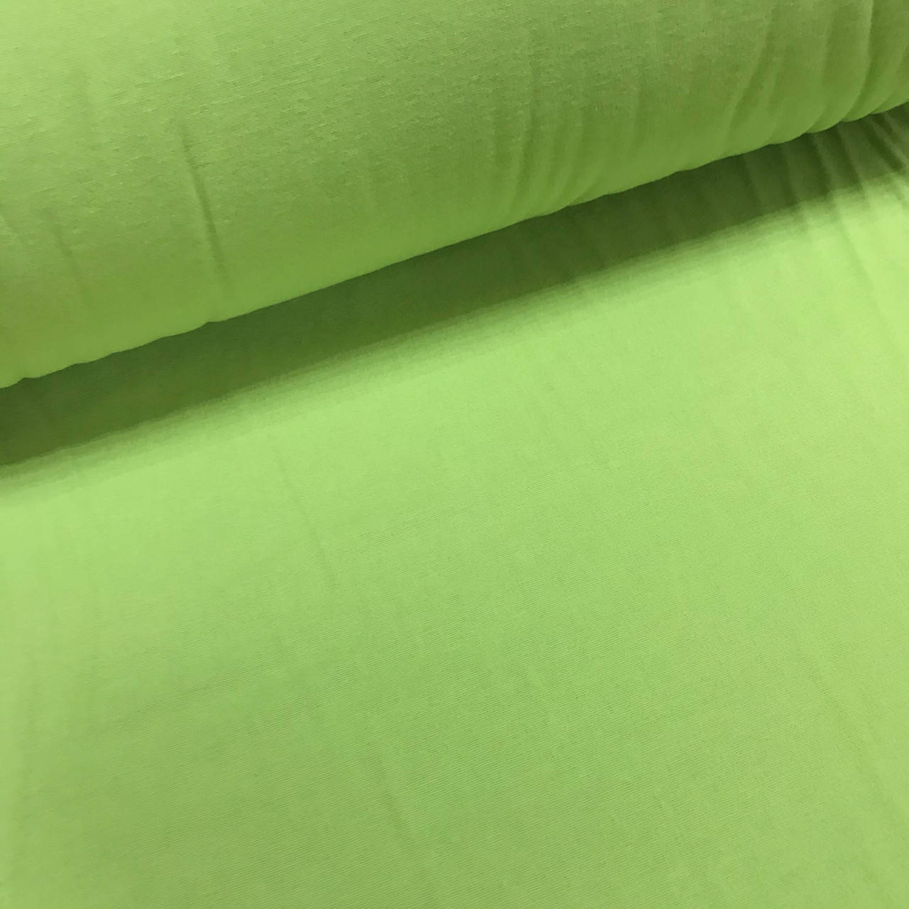 

Фланелевая ткань однотонная светло-зеленая ( шир. 2,4 м ) (FL-F-0155)