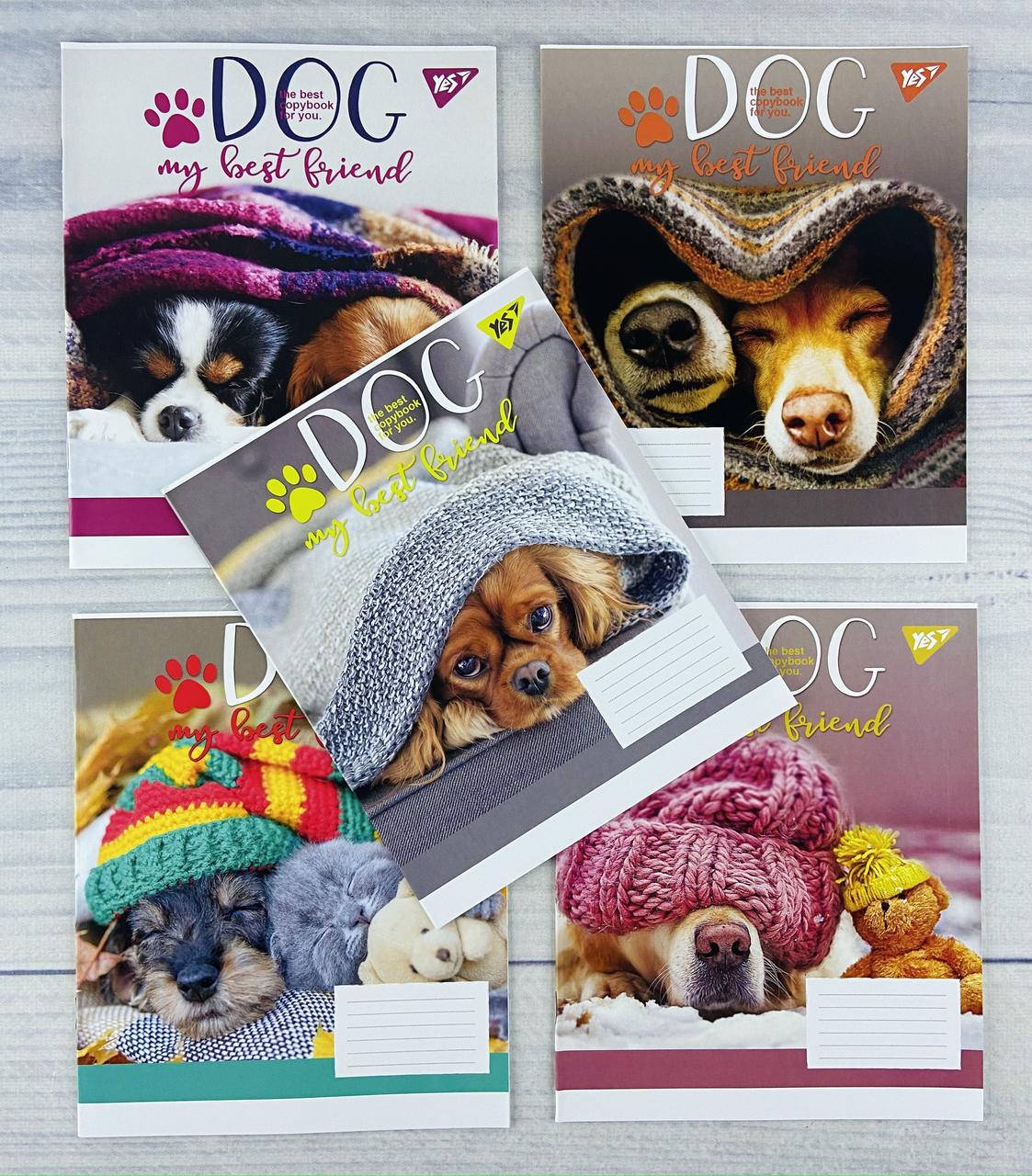 

Тетрадь на 12 листов в косую линию Dog friend-21 765498 32094Ф 1 вересня Украина