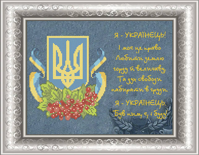 

СКМ-154. Схема Українська символіка