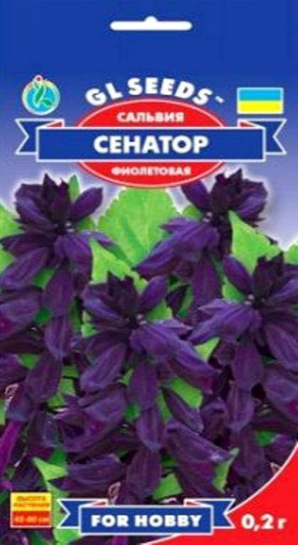 

Сальвия фиолетовая Сенатор - 0.2 г - Семена цветов, Фиолетовый