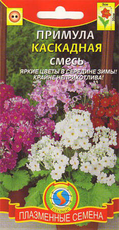 

Примула каскадная Яркая смесь 18 шт (Плазменные семена)
