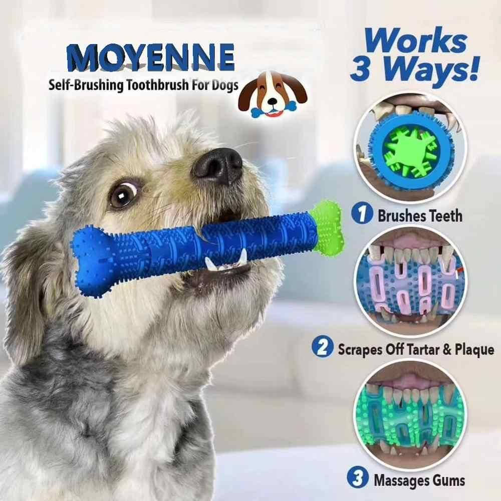 

Зубная щетка для собак Сhewbrush (DOG DUMMY BONE)