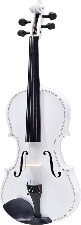 

Скрипка Rose R-10 4/4 WH, Белый